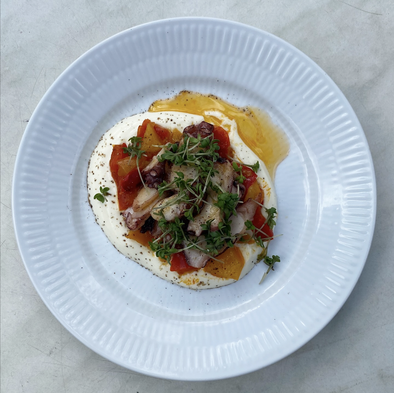 “Pulpo, saltet yogurt, ristet peberfrugt og fermenteret hot sauce på en hvid tallerken”